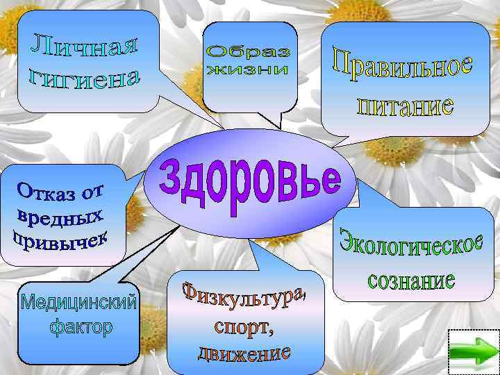 Что имеем не храним. Пословица что имеем не храним. Что имеем не храним здоровье. Продолжить пословицу что имеет , не храним. Что имеем не храним потерявши плачем значение пословицы объясните.