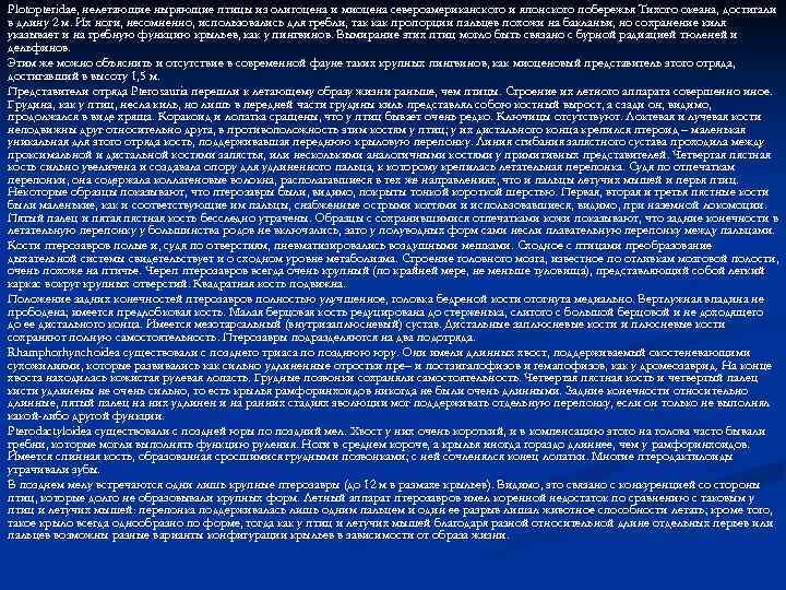 Plotopteridae, нелетающие ныряющие птицы из олигоцена и миоцена североамериканского и японского побережья Тихого океана,