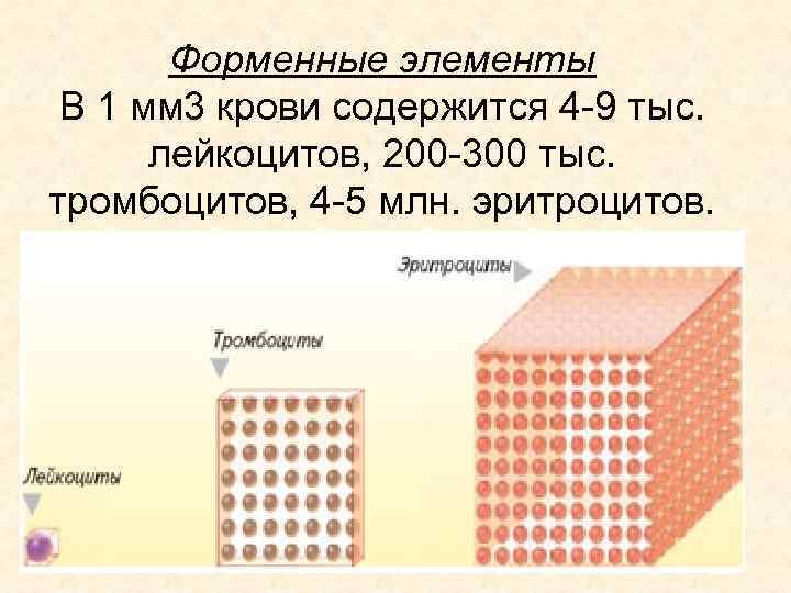 Лейкоциты в 1 мм3 крови. В 1 мм крови содержится лейкоцитов. Количество лейкоцитов в 1 мм3 крови. В 1 мм3 крови содержится лейкоцитов. Количество тромбоцитов в 1 куб.мм крови.