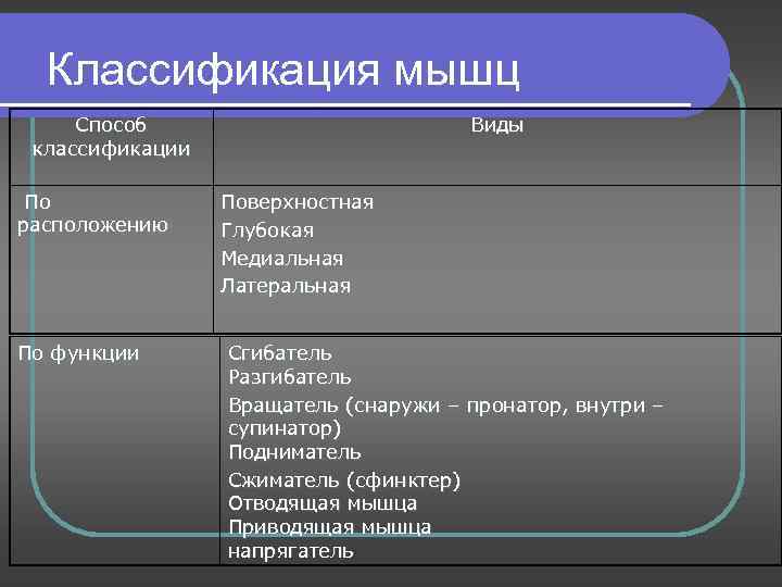 Классификация мышц Способ классификации По расположению По функции Виды Поверхностная Глубокая Медиальная Латеральная Сгибатель