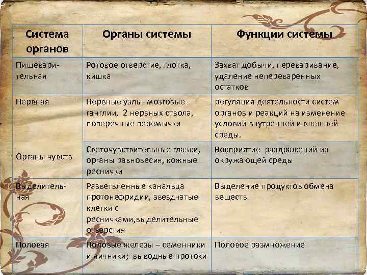 Система органов Органы системы Функции системы Пищеварительная Ротовое отверстие, глотка, кишка Захват добычи, переваривание,