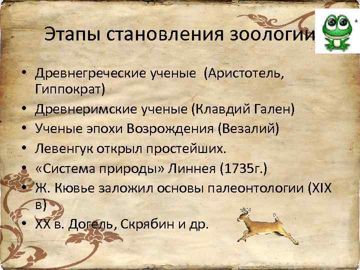 Этапы становления зоологии • Древнегреческие ученые (Аристотель, Гиппократ) • Древнеримские ученые (Клавдий Гален) •