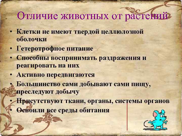 Отличие животных от растений • Клетки не имеют твердой целлюлозной оболочки • Гетеротрофное питание