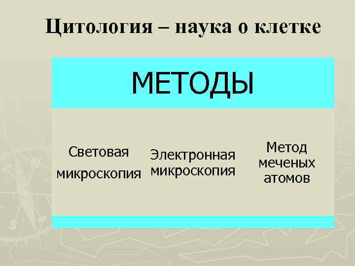 Цитология – наука о клетке МЕТОДЫ Световая Электронная микроскопия Метод меченых атомов 