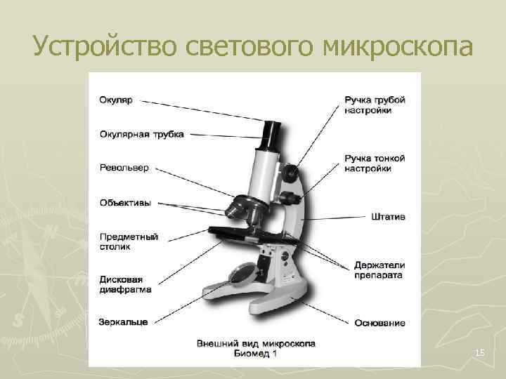 Устройство светового микроскопа 15 