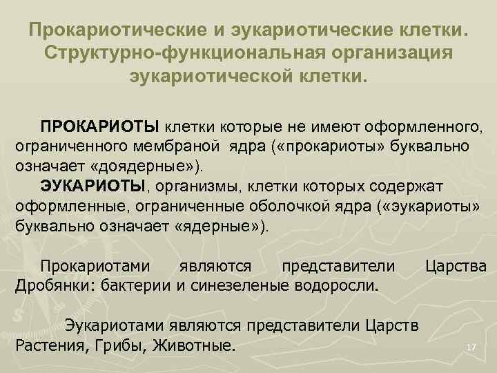 Прокариотические и эукариотические клетки. Структурно-функциональная организация эукариотической клетки. ПРОКАРИОТЫ клетки которые не имеют оформленного,