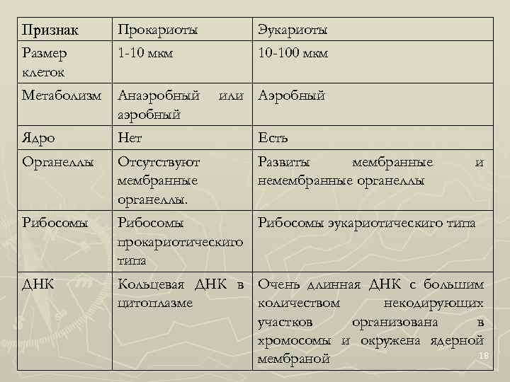 Признак Размер клеток Прокариоты Эукариоты 1 -10 мкм 10 -100 мкм Метаболизм Анаэробный или