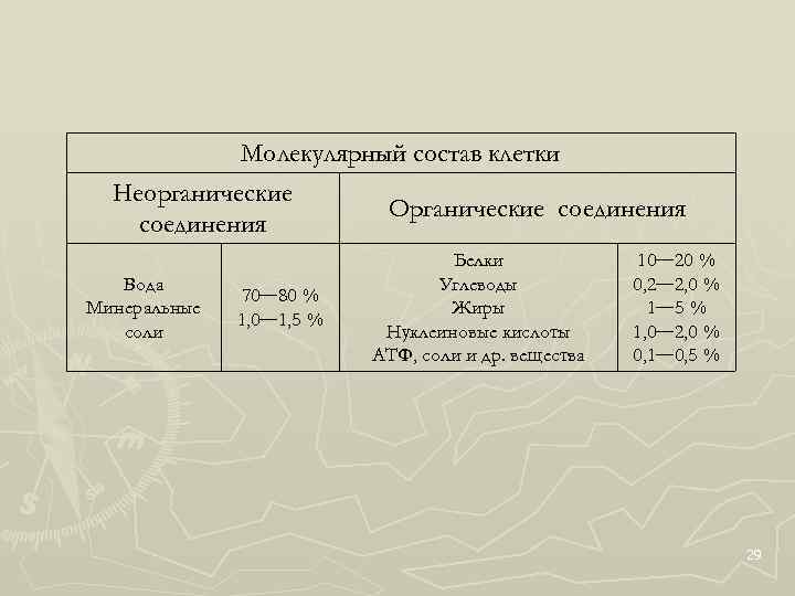 Молекулярный состав клетки Неорганические соединения Вода Минеральные соли 70— 80 % 1, 0— 1,