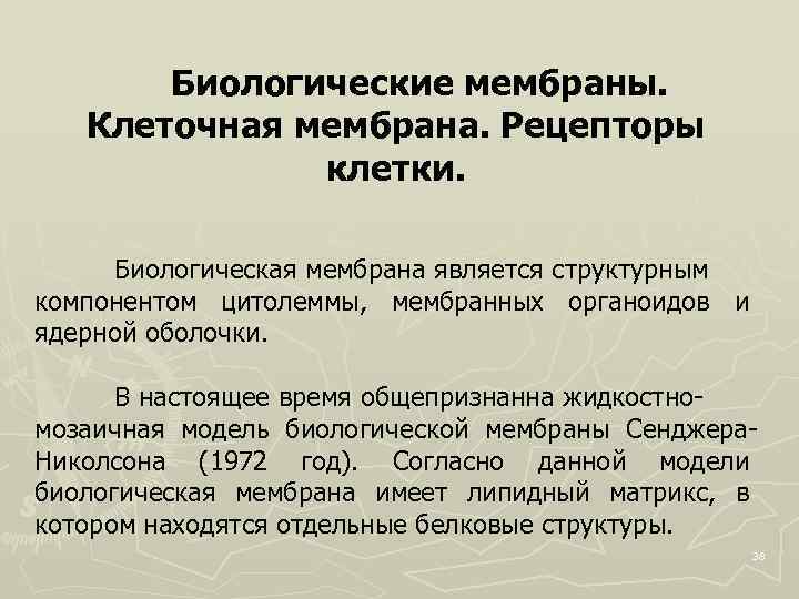 Биологические мембраны. Клеточная мембрана. Рецепторы клетки. Биологическая мембрана является структурным компонентом цитолеммы, мембранных органоидов