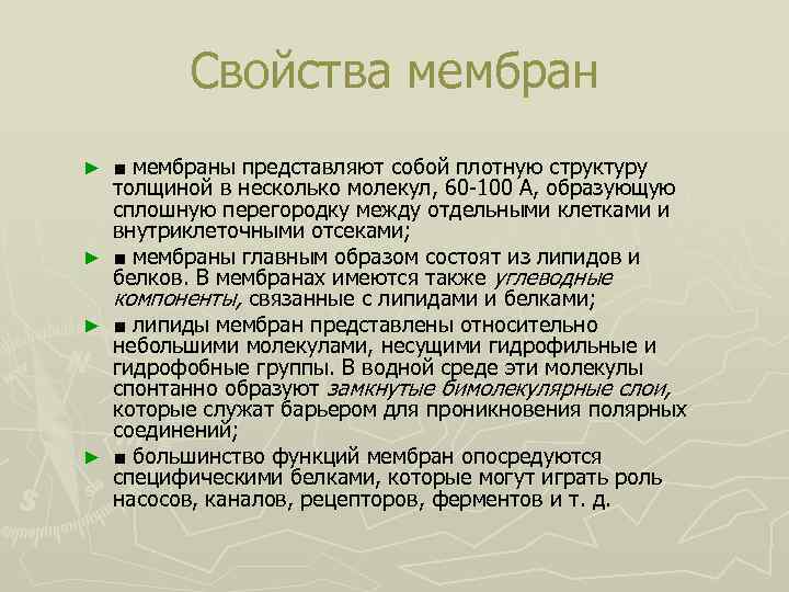 Свойства мембран ■ мембраны представляют собой плотную структуру толщиной в несколько молекул, 60 100