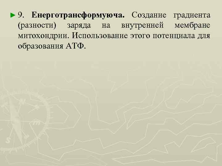 ► 9. Енерготрансформуюча. Создание градиента (разности) заряда на внутренней мембране митохондрии. Использование этого потенциала