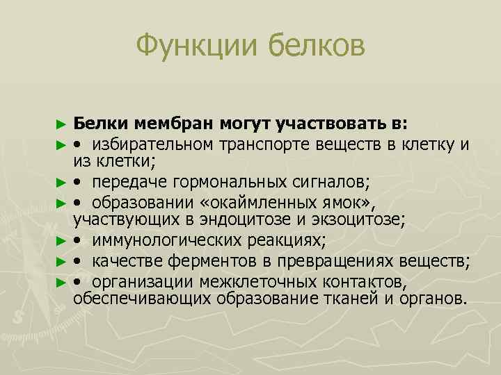 Функции белков ► Белки мембран могут участвовать в: ► • избирательном транспорте веществ в