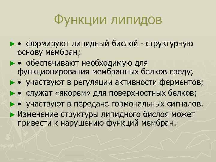 Функции липидов ► • формируют липидный бислой структурную основу мембран; ► • обеспечивают необходимую