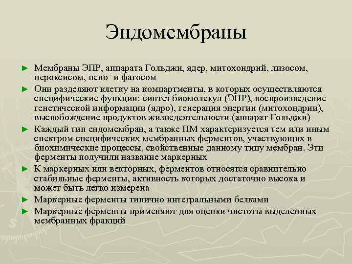 Эндомембраны ► ► ► Мембраны ЭПР, аппарата Гольджи, ядер, митохондрий, лизосом, пероксисом, пено- и