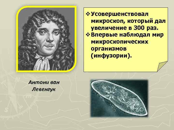 v. Усовершенствовал микроскоп, который дал увеличение в 300 раз. v. Впервые наблюдал мир микроскопических