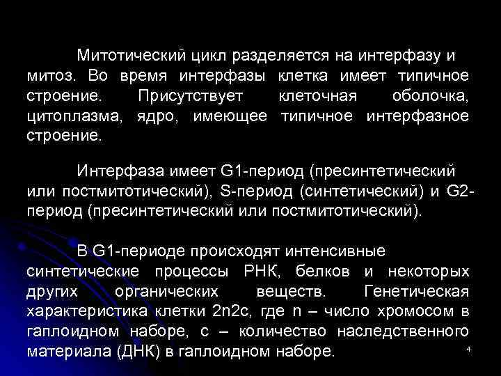 Митотический цикл разделяется на интерфазу и митоз. Во время интерфазы клетка имеет типичное строение.