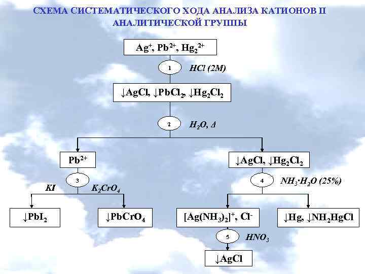 6 группа катионов