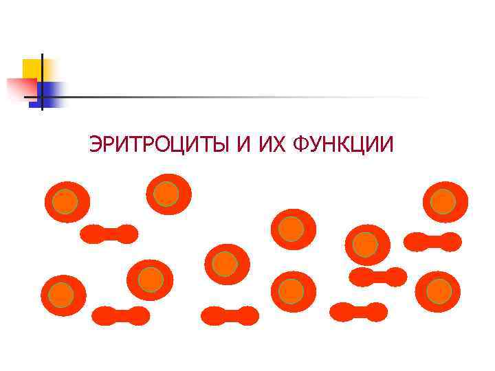 ЭРИТРОЦИТЫ И ИХ ФУНКЦИИ 
