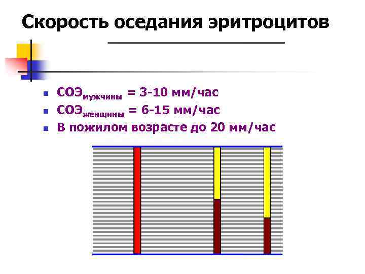 Скорость оседания эритроцитов n n n СОЭмужчины = 3 -10 мм/час СОЭженщины = 6