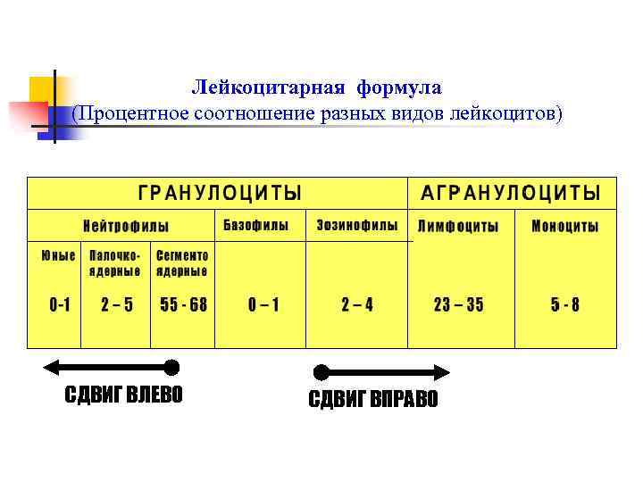 Лейкоцитарная формула (Процентное соотношение разных видов лейкоцитов) СДВИГ ВЛЕВО СДВИГ ВПРАВО 