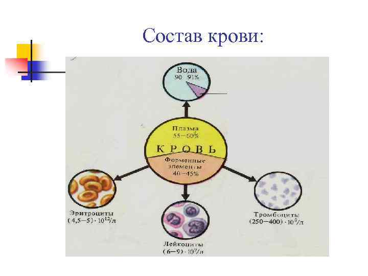 Состав крови: 