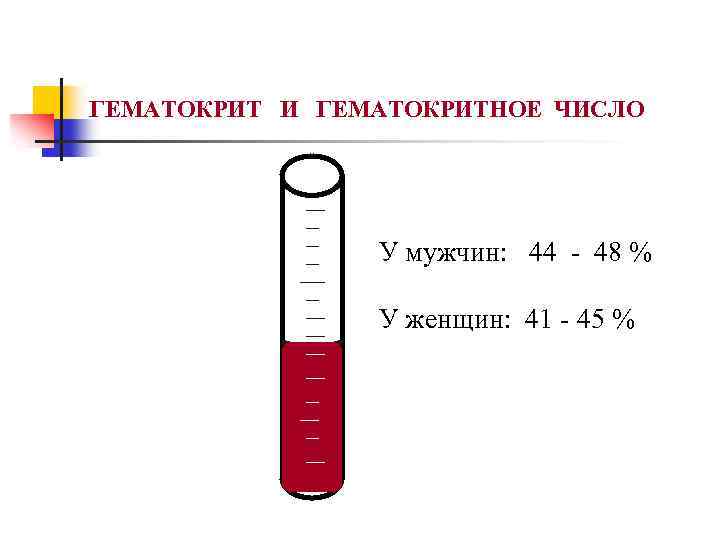 ГЕМАТОКРИТ И ГЕМАТОКРИТНОЕ ЧИСЛО У мужчин: 44 - 48 % У женщин: 41 -