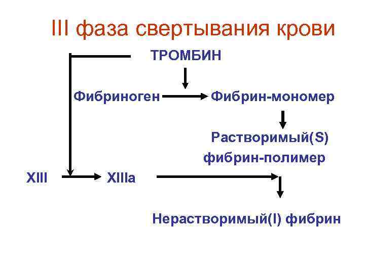 Заполните схему свертывания крови