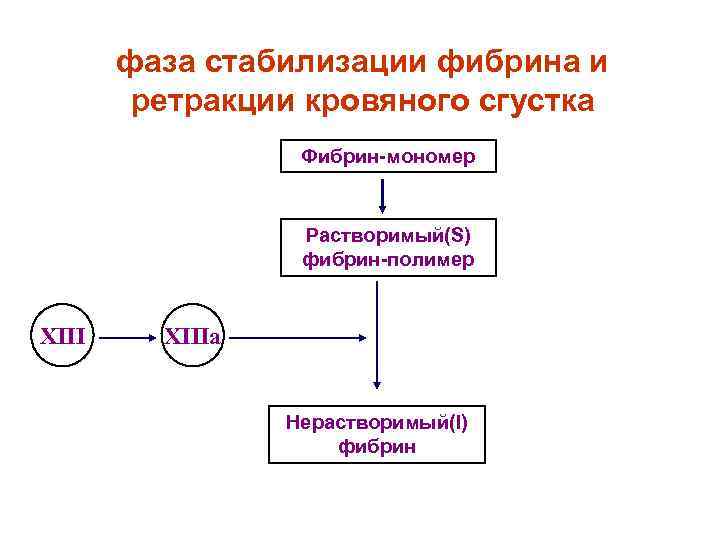 фаза стабилизации фибрина и ретракции кровяного сгустка Фибрин-мономер Растворимый(S) фибрин-полимер XIIIa Нерастворимый(I) фибрин 