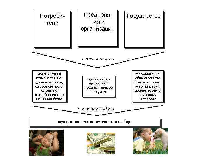 Потребители Предприятия и организации Государство основная цель максимизация полезности, т. е. удовлетворение, которое они