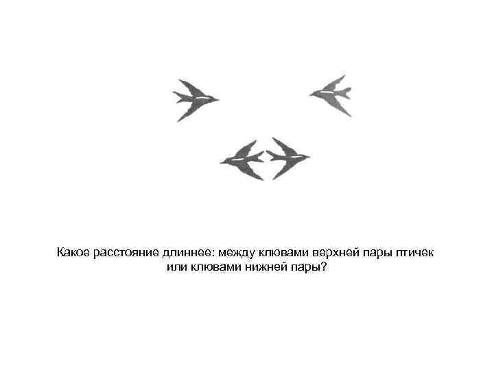 Какое расстояние длиннее: между клювами верхней пары птичек или клювами нижней пары? 
