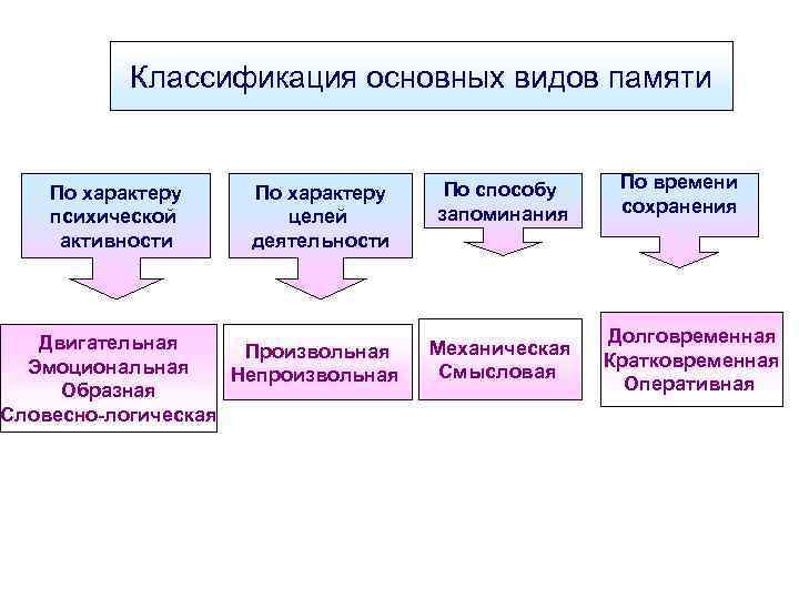 Классификация основных видов памяти По характеру психической активности По характеру целей деятельности Двигательная Произвольная
