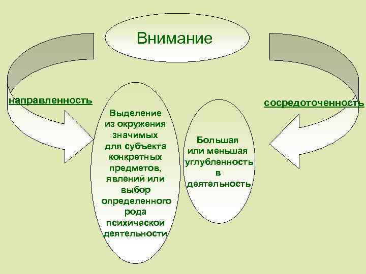 Внимание направленность Выделение из окружения значимых для субъекта конкретных предметов, явлений или выбор определенного
