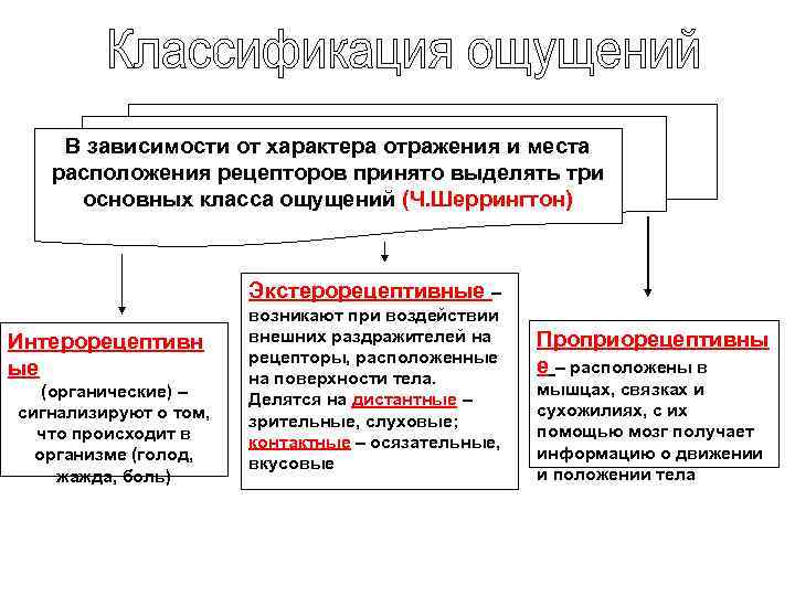 Классификация ощущений в психологии схема