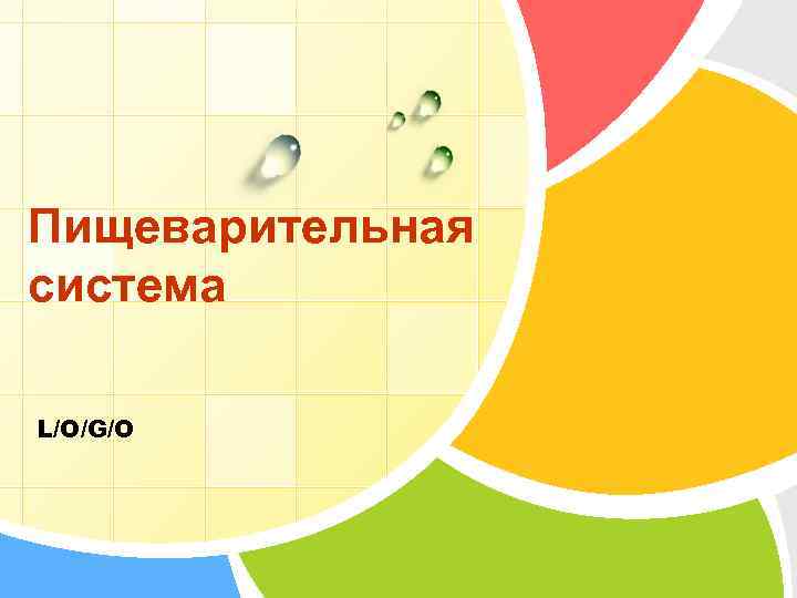 Пищеварительная система L/O/G/O 