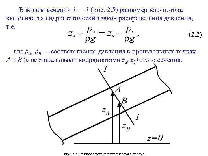 В живом сечении 1 — 1 (рис. 2. 5) равномерного потока выполняется гидростатический закон