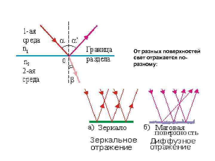 От разных поверхностей свет отражается поразному: 