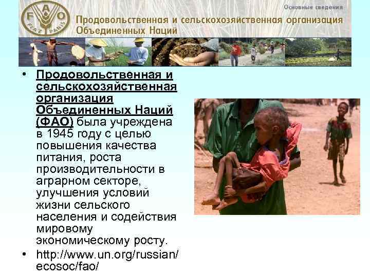 • Продовольственная и сельскохозяйственная организация Объединенных Наций (ФАО) была учреждена в 1945 году
