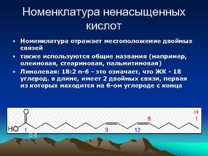 Номенклатура ненасыщенных кислот • Номенклатура отражает местоположение двойных связей • также используются общие названия
