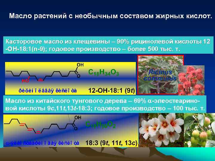 Масло растений с необычным составом жирных кислот. Касторовое масло из клещевины – 90% рицинолевой