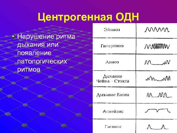  Центрогенная ОДН Нарушение ритма дыхания или появление патологических ритмов 