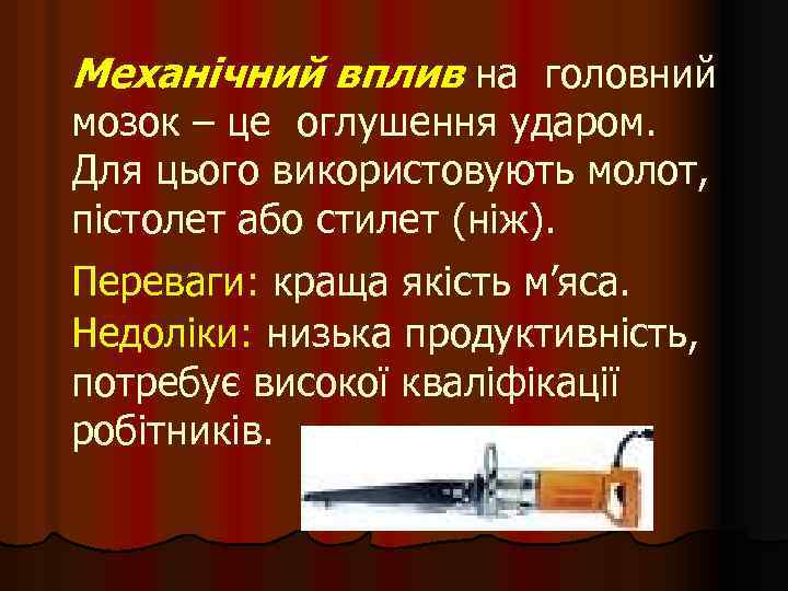 Механічний вплив на головний мозок – це оглушення ударом. Для цього використовують молот, пістолет
