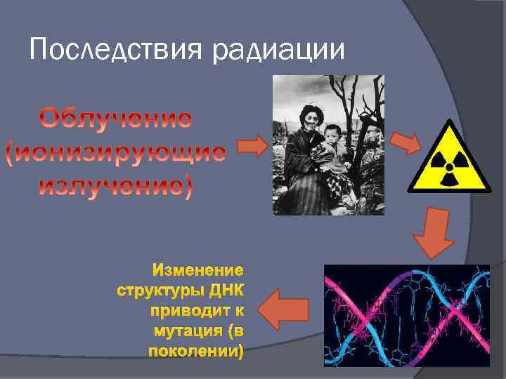 Последствия радиации Изменение структуры ДНК приводит к мутация (в поколении) 