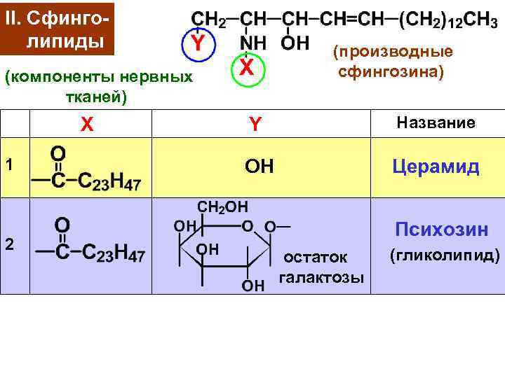 II. Сфинголипиды (производные сфингозина) (компоненты нервных тканей) Х 1 2 Y Название ОН Церамид