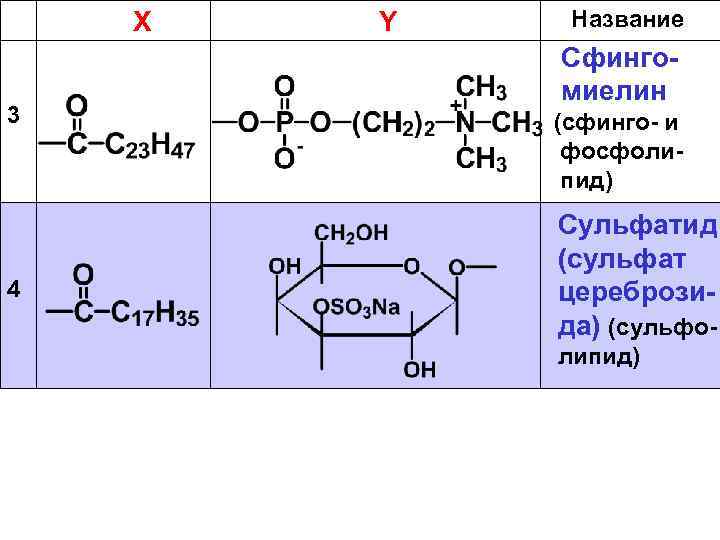 Х 3 4 Y Название Сфингомиелин (сфинго- и фосфолипид) Сульфатид (сульфат цереброзида) (сульфолипид) 