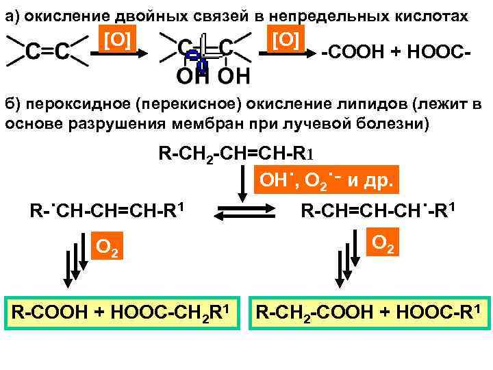а) окисление двойных связей в непредельных кислотах [O] -COOH + HOOC- б) пероксидное (перекисное)