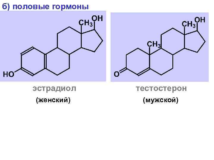 б) половые гормоны эстрадиол тестостерон (женский) (мужской) 