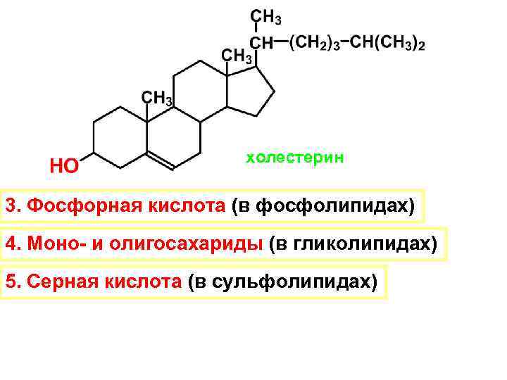 холестерин 3. Фосфорная кислота (в фосфолипидах) 4. Моно- и олигосахариды (в гликолипидах) 5. Серная