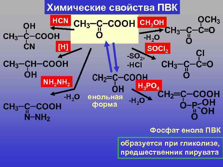 Химические свойства ПВК НCN [Н] СН 3 ОН -Н 2 О -SO 2, -HCl