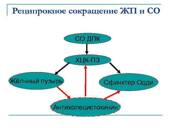 Реципрокное сокращение ЖП и СО СО ДПК ХЦК-ПЗ Жёлчный пузырь Сфинктер Одди Антихолецистокинин 