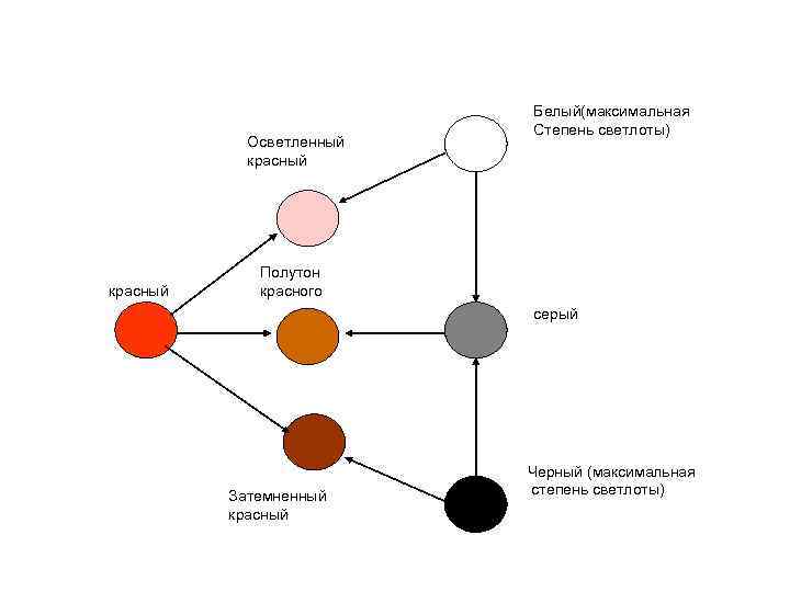 Осветленный красный Белый(максимальная Степень светлоты) Полутон красного серый Затемненный красный Черный (максимальная степень светлоты)